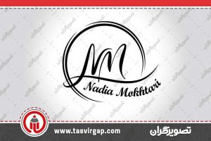 نمونه کار طراحی لوگو | تصویرگران اندیشه پارسی